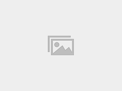 Level 1 – Security Alarm Systems