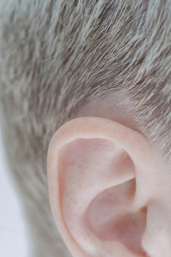 Detailed closeup of a person's ear with neatly cropped blonde hair, showcasing texture and detail.